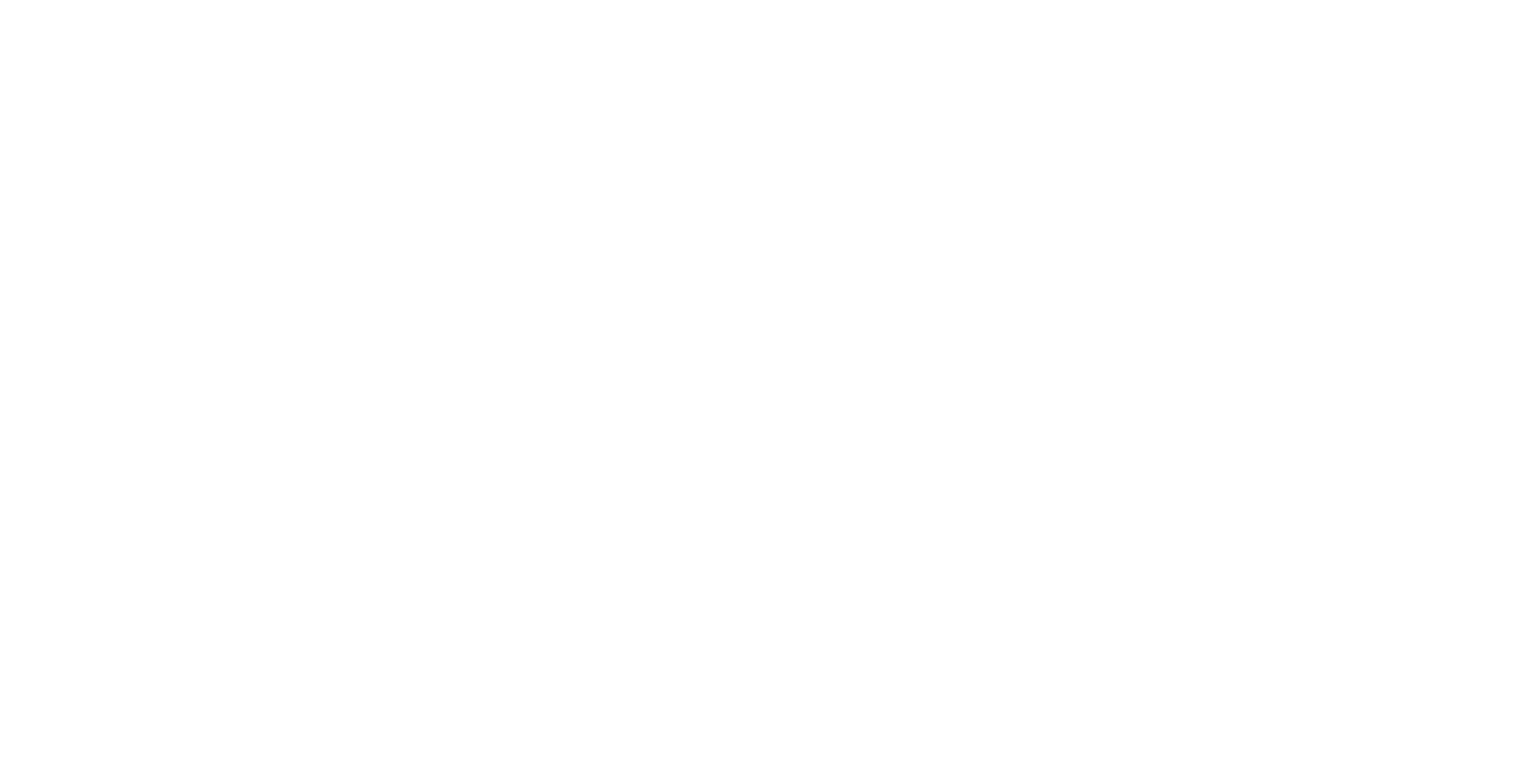 the wedding party